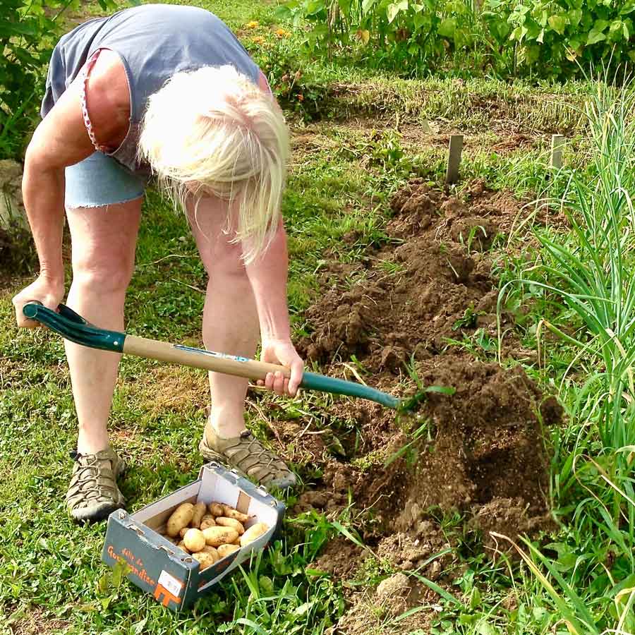 digging